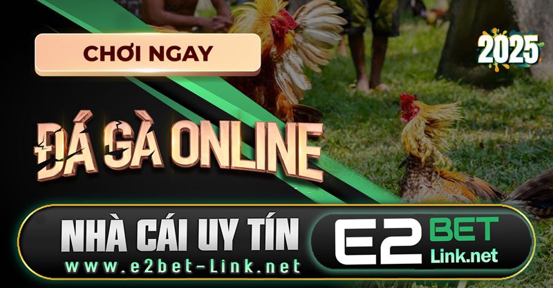 Đá gà là gì?